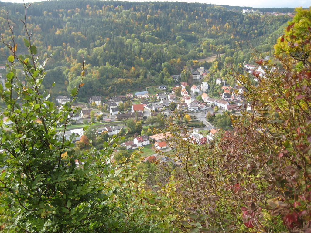 Gaestehaus Krone Oberndorf am Neckar Chambre photo